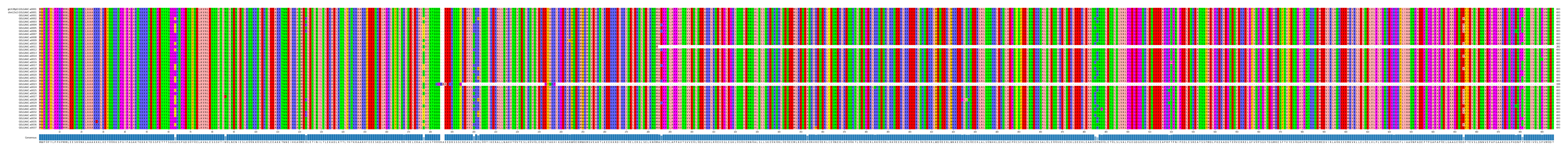 Multiple Alignments (by translate haplotype frequency)