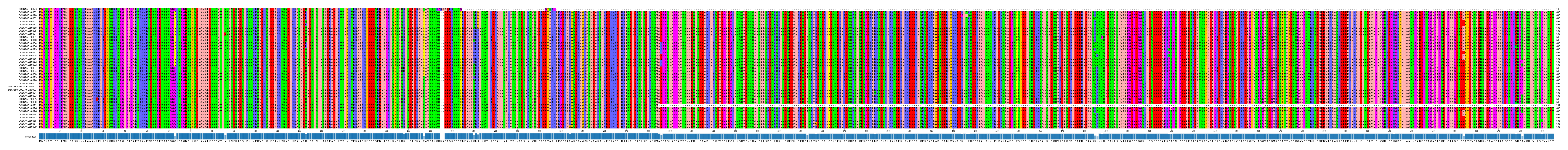Multiple Alignments (by translate haplotype similarity)