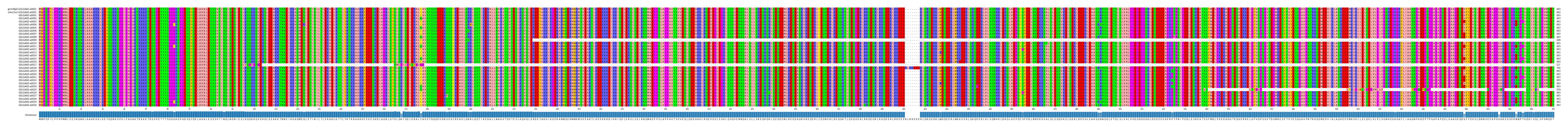 Multiple Alignments (by translate haplotype frequency)