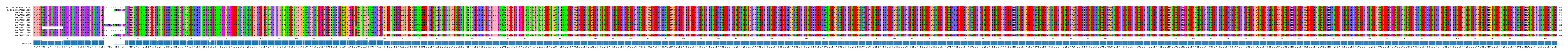 Multiple Alignments (by translate haplotype frequency)