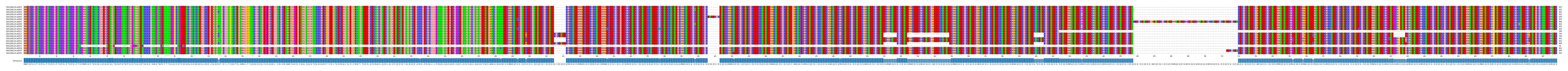 Multiple Alignments (by translate haplotype frequency)