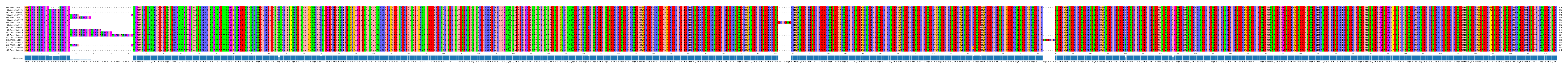 Multiple Alignments (by translate haplotype similarity)