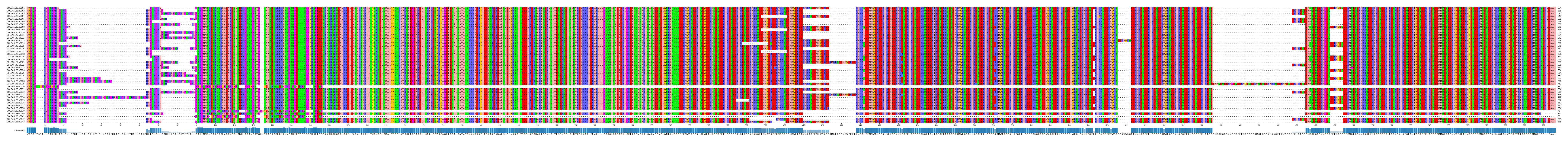 Multiple Alignments (by translate haplotype frequency)