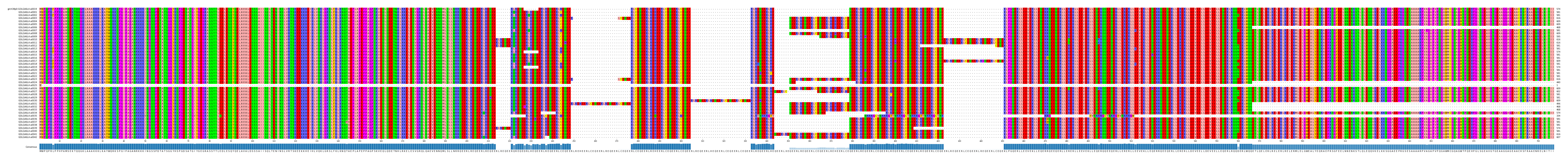 Multiple Alignments (by translate haplotype frequency)