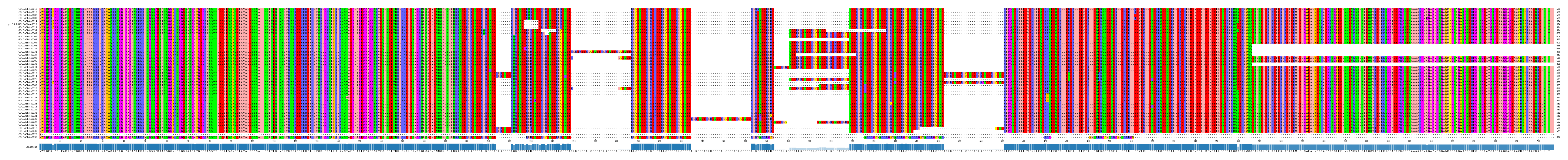 Multiple Alignments (by translate haplotype similarity)