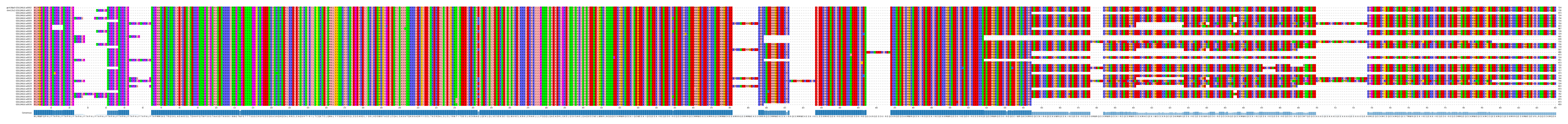 Multiple Alignments (by translate haplotype frequency)