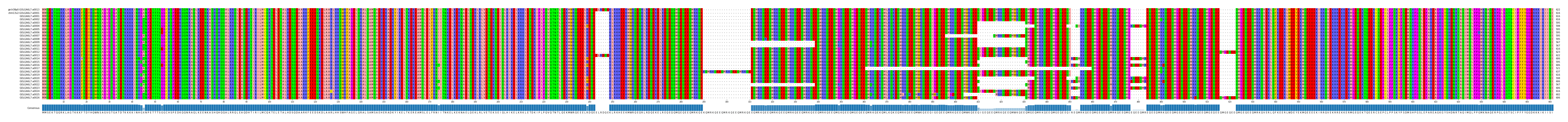 Multiple Alignments (by translate haplotype frequency)