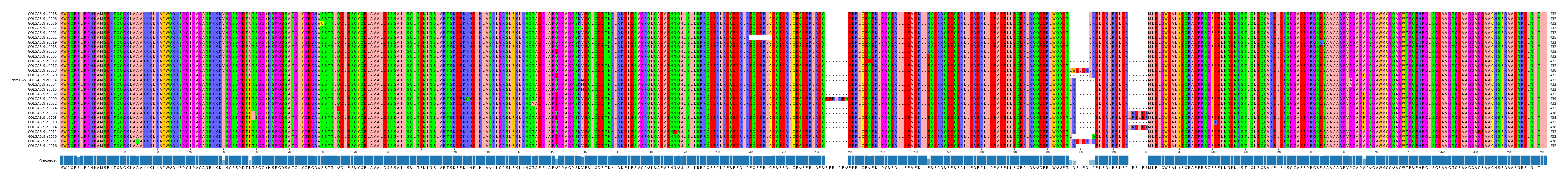 Multiple Alignments (by translate haplotype similarity)