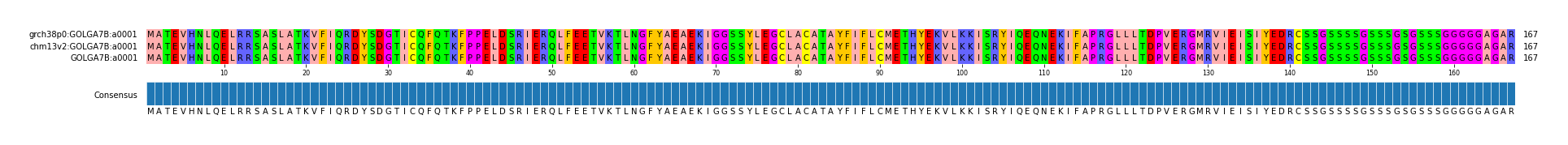 Multiple Alignments (by translate haplotype frequency)