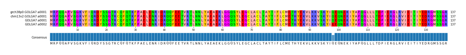 Multiple Alignments (by translate haplotype similarity)