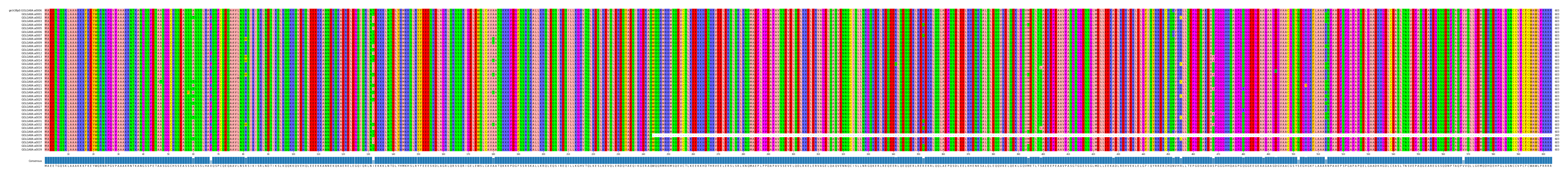 Multiple Alignments (by translate haplotype frequency)