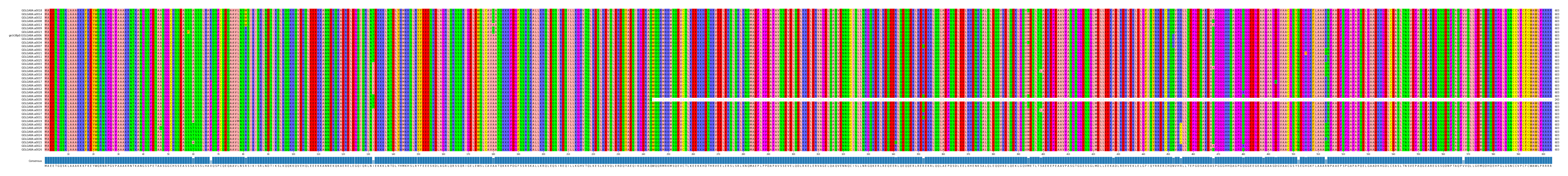 Multiple Alignments (by translate haplotype similarity)