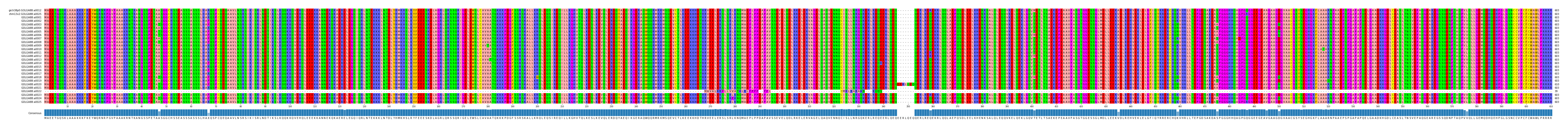 Multiple Alignments (by translate haplotype frequency)