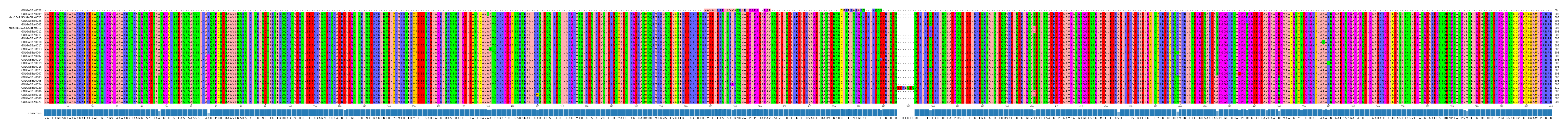 Multiple Alignments (by translate haplotype similarity)