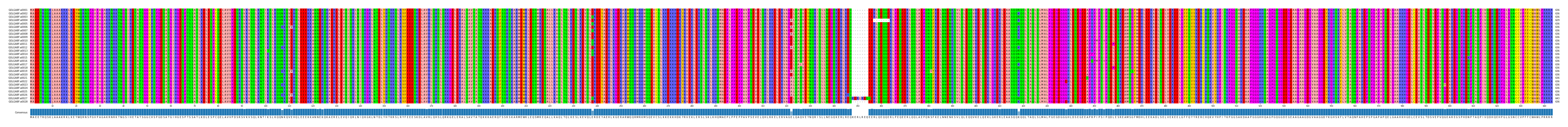 Multiple Alignments (by translate haplotype frequency)