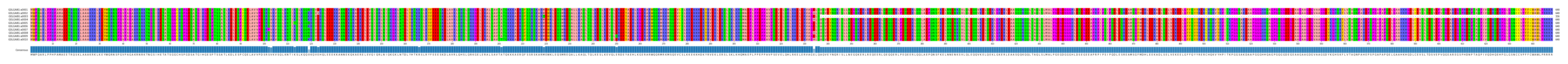 Multiple Alignments (by translate haplotype frequency)