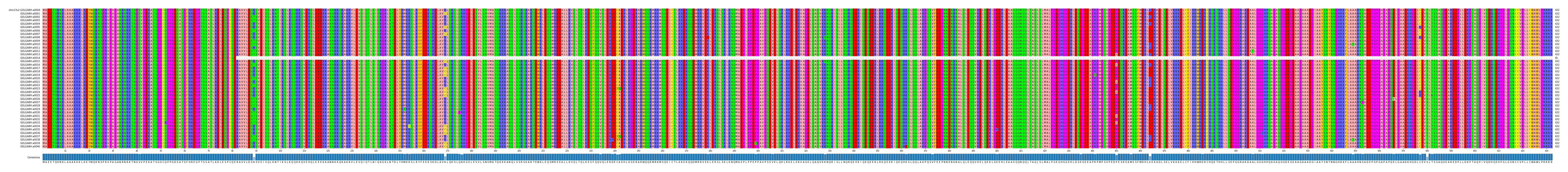 Multiple Alignments (by translate haplotype frequency)