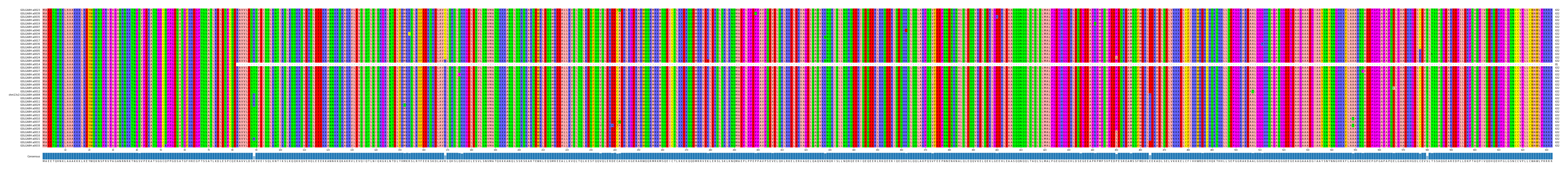 Multiple Alignments (by translate haplotype similarity)