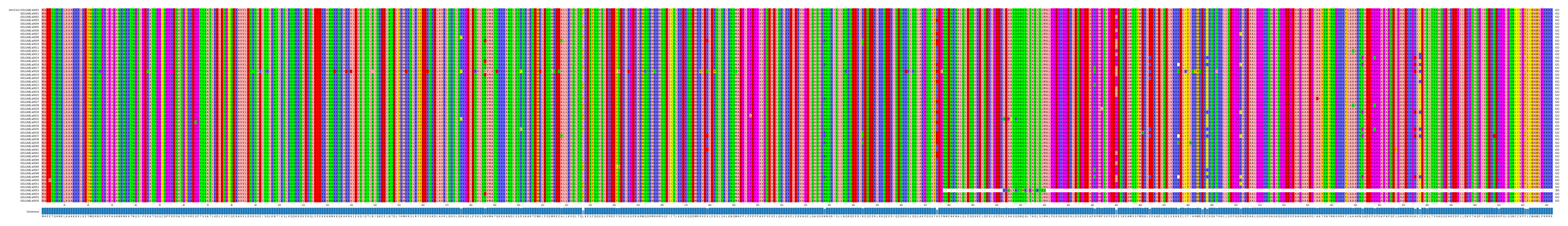 Multiple Alignments (by translate haplotype frequency)