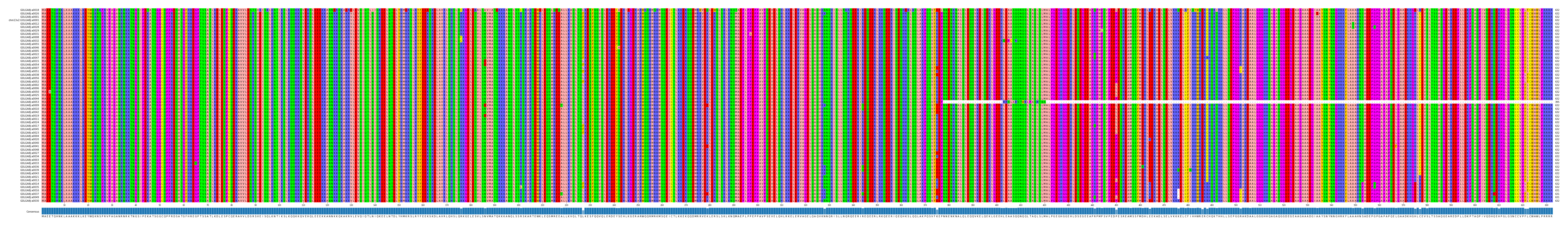 Multiple Alignments (by translate haplotype similarity)