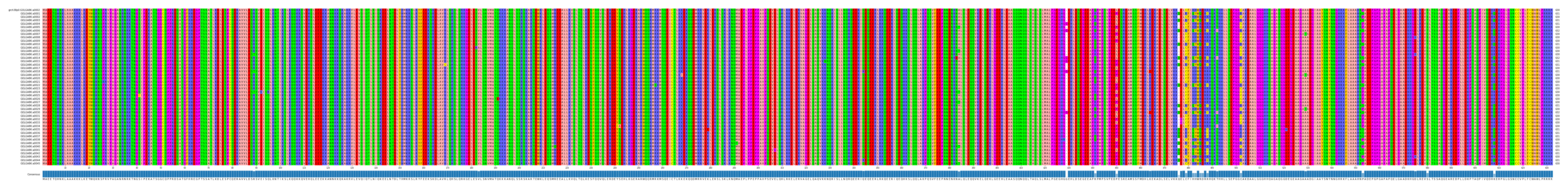 Multiple Alignments (by translate haplotype frequency)
