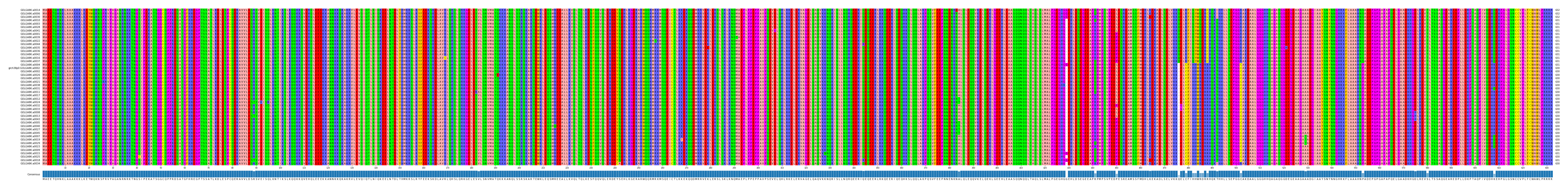 Multiple Alignments (by translate haplotype similarity)