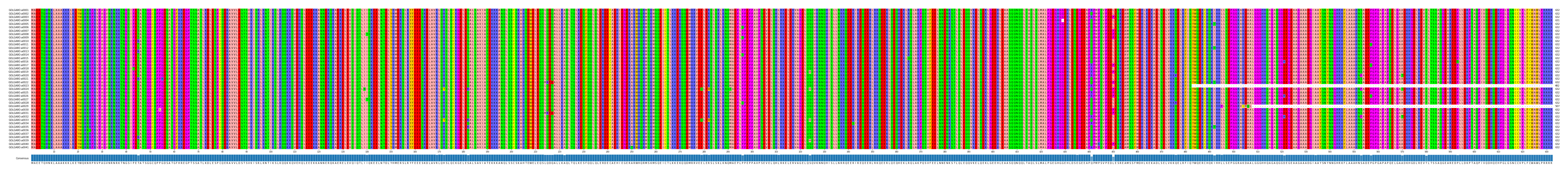 Multiple Alignments (by translate haplotype frequency)