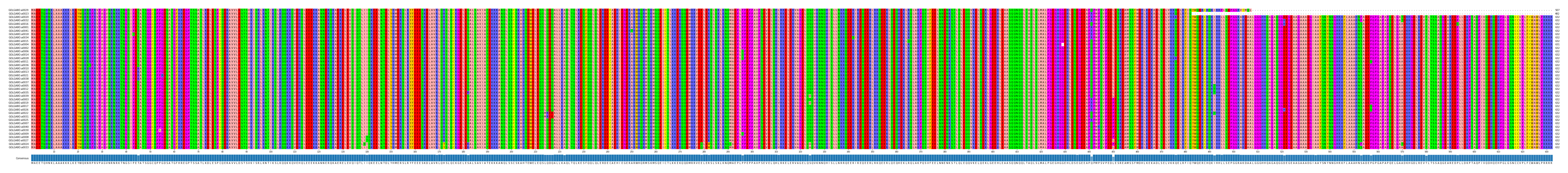 Multiple Alignments (by translate haplotype similarity)