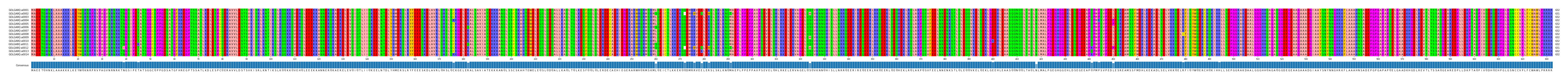 Multiple Alignments (by translate haplotype frequency)