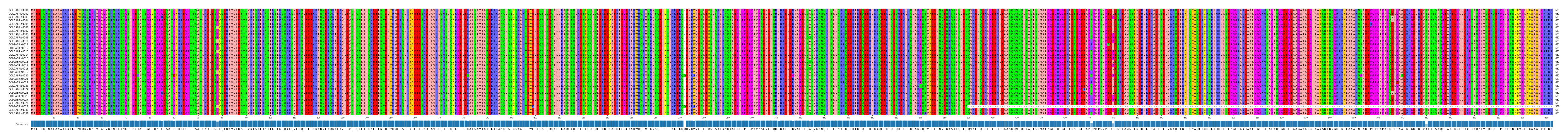 Multiple Alignments (by translate haplotype frequency)