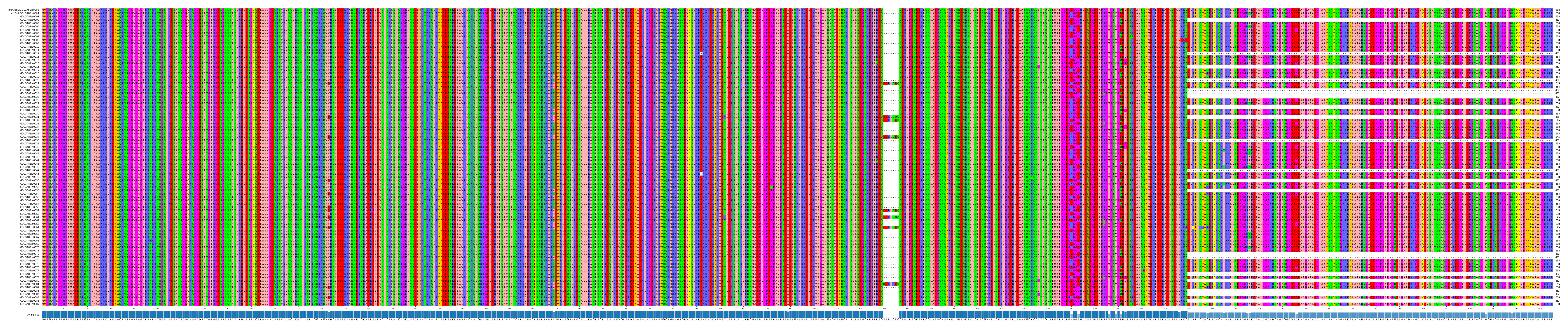 Multiple Alignments (by translate haplotype frequency)
