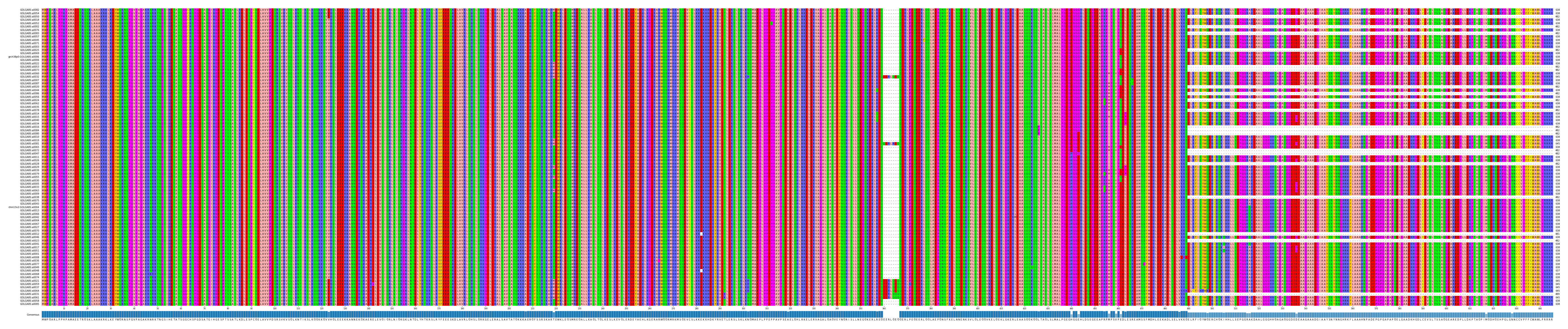 Multiple Alignments (by translate haplotype similarity)