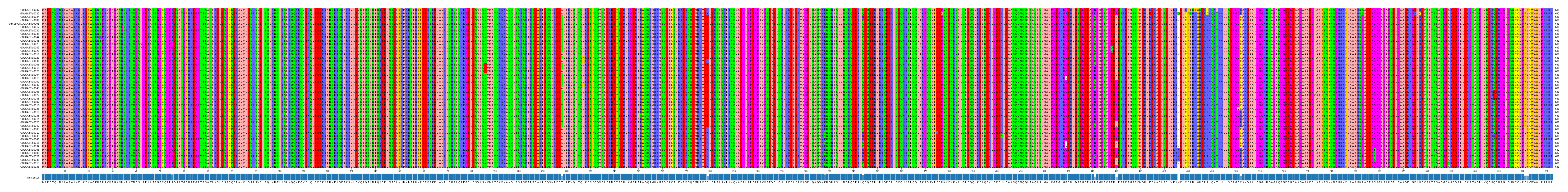 Multiple Alignments (by translate haplotype similarity)