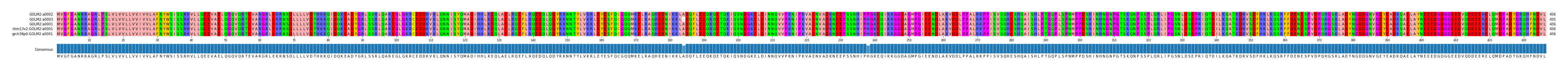 Multiple Alignments (by translate haplotype similarity)