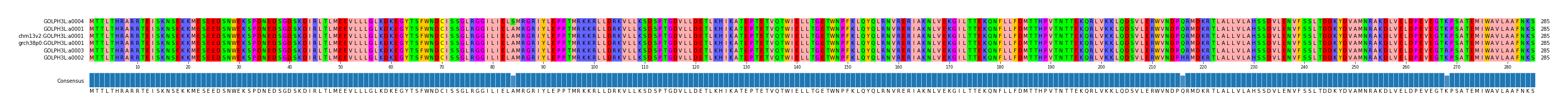 Multiple Alignments (by translate haplotype similarity)