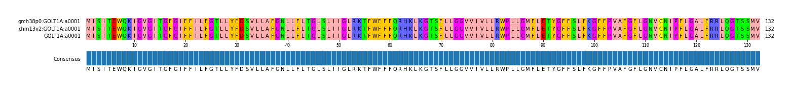 Multiple Alignments (by translate haplotype frequency)