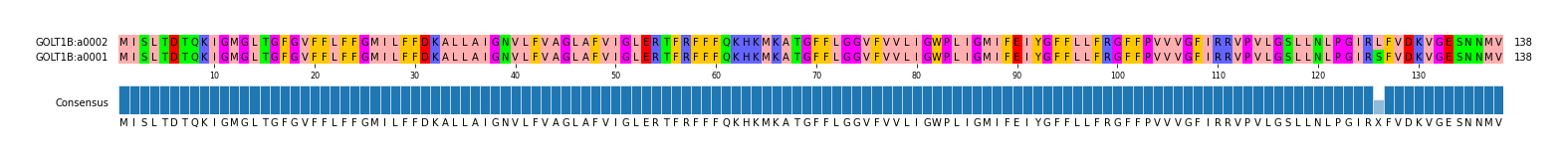 Multiple Alignments (by translate haplotype similarity)