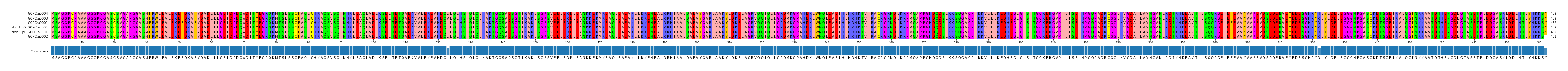 Multiple Alignments (by translate haplotype similarity)