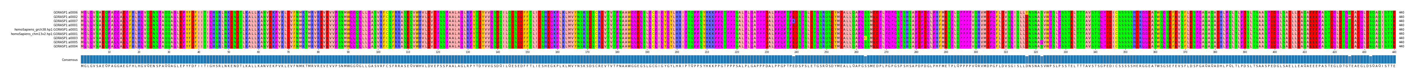 Multiple Alignments (by translate haplotype similarity)