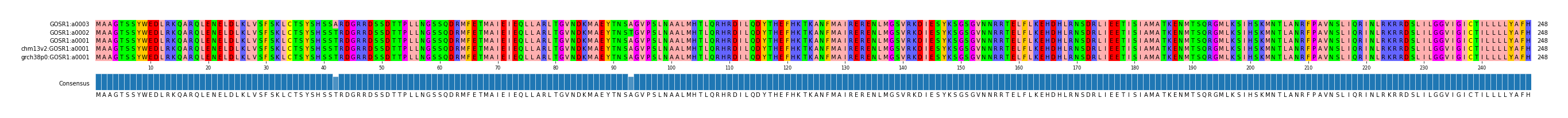 Multiple Alignments (by translate haplotype similarity)