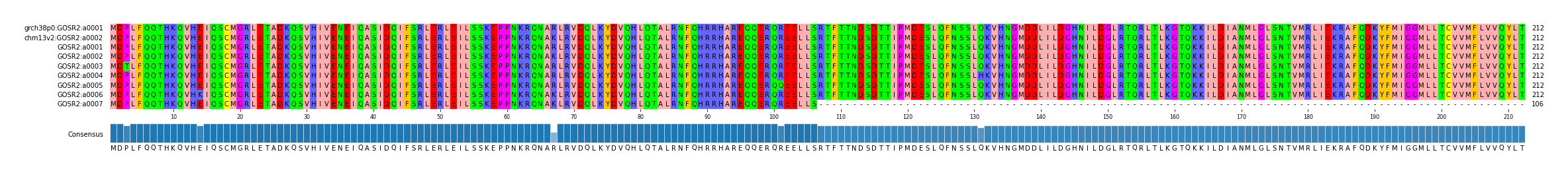 Multiple Alignments (by translate haplotype frequency)