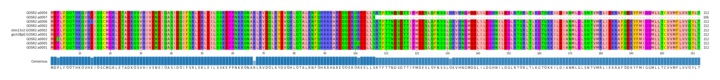 Multiple Alignments (by translate haplotype similarity)