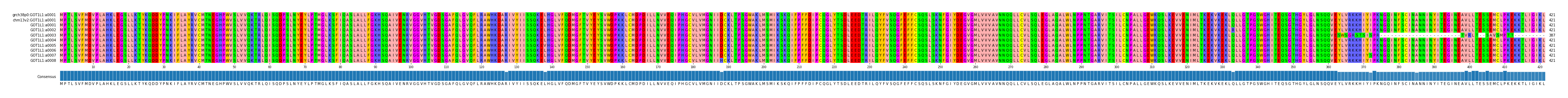 Multiple Alignments (by translate haplotype frequency)