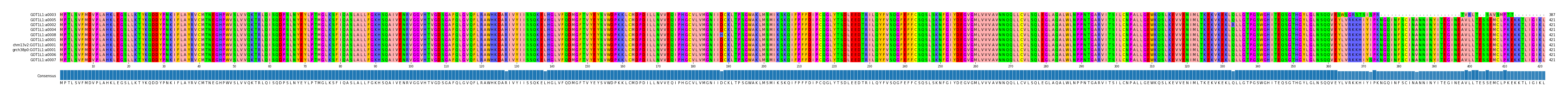 Multiple Alignments (by translate haplotype similarity)