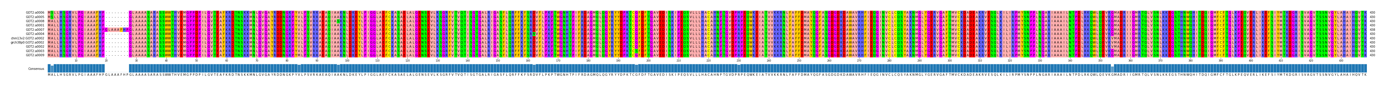 Multiple Alignments (by translate haplotype similarity)