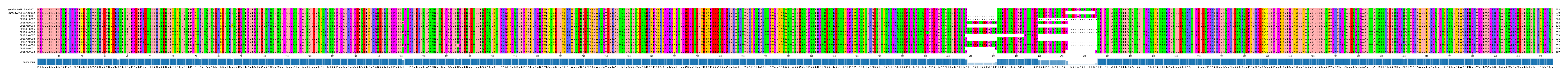 Multiple Alignments (by translate haplotype frequency)