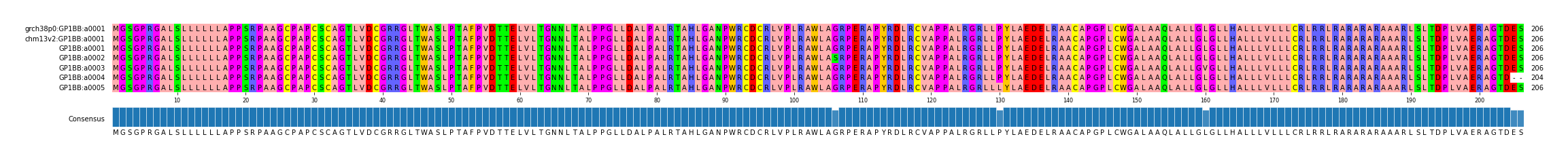 Multiple Alignments (by translate haplotype frequency)