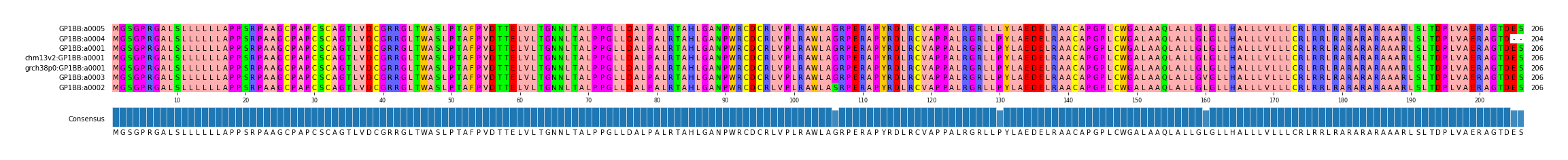 Multiple Alignments (by translate haplotype similarity)
