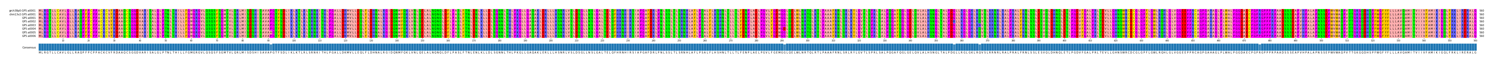 Multiple Alignments (by translate haplotype frequency)