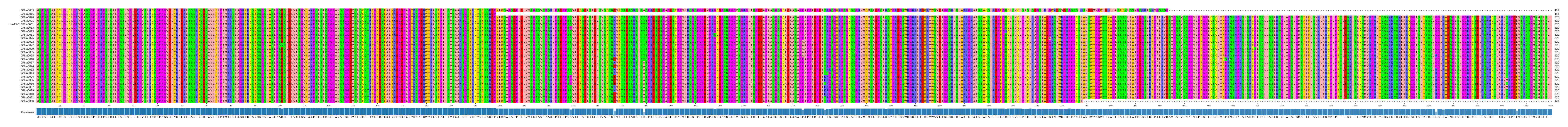 Multiple Alignments (by translate haplotype similarity)